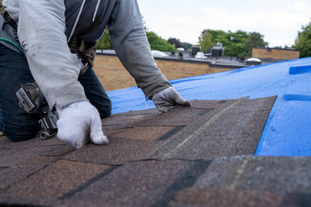 Roof Gutter Cleaning in Andrews, IN
